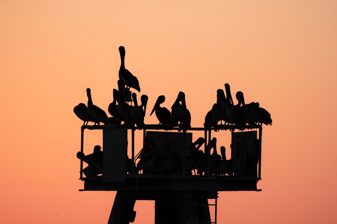 Occidental Petroleum Stock Jumped: Monday Market Surge