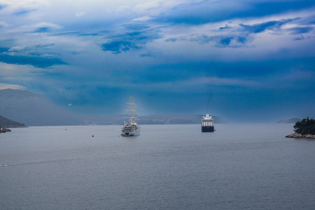 Offshore (WTI) 2025 Earnings: W&T Offshore Analysis