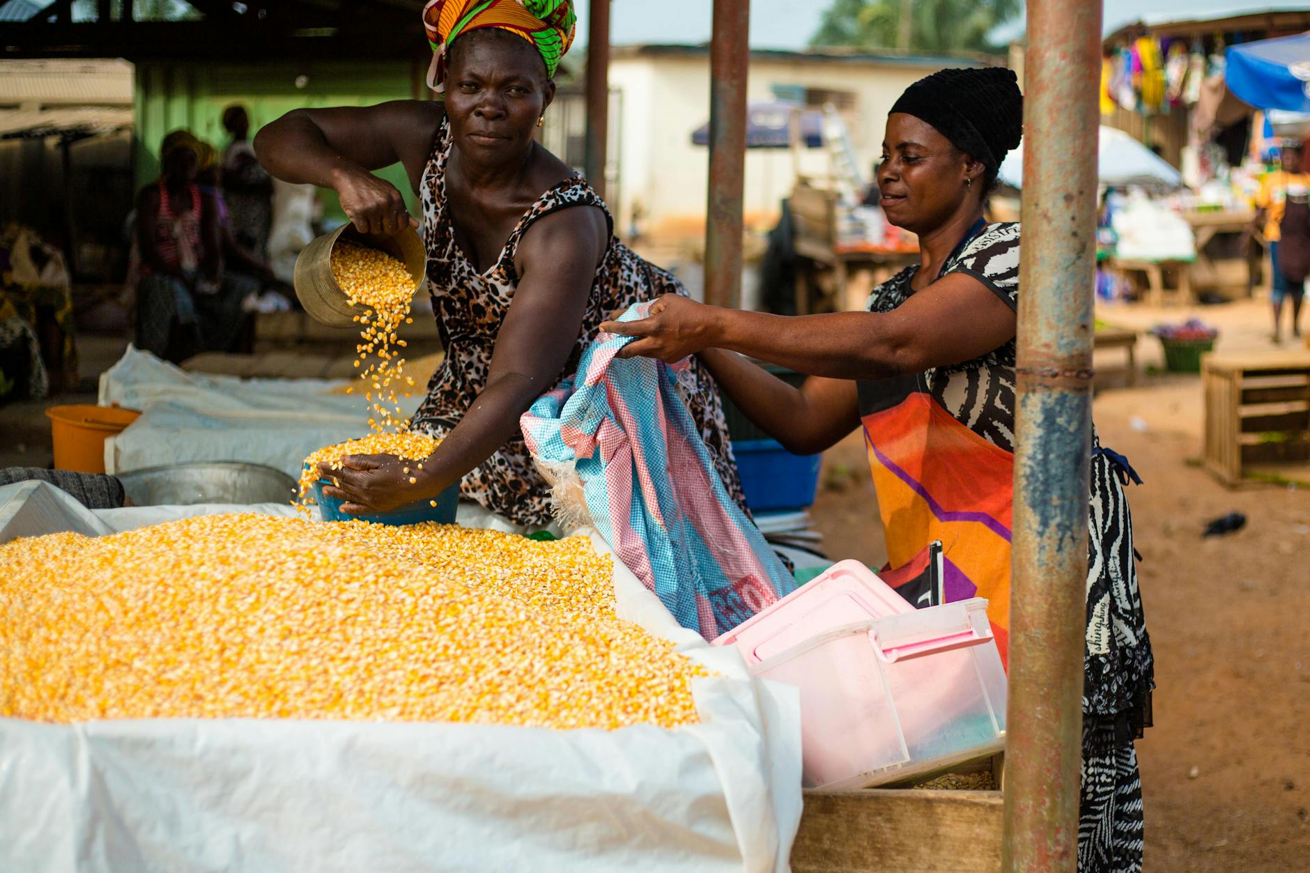 One-Third World's Fertilizer Passes: Hormuz Risks for Investors