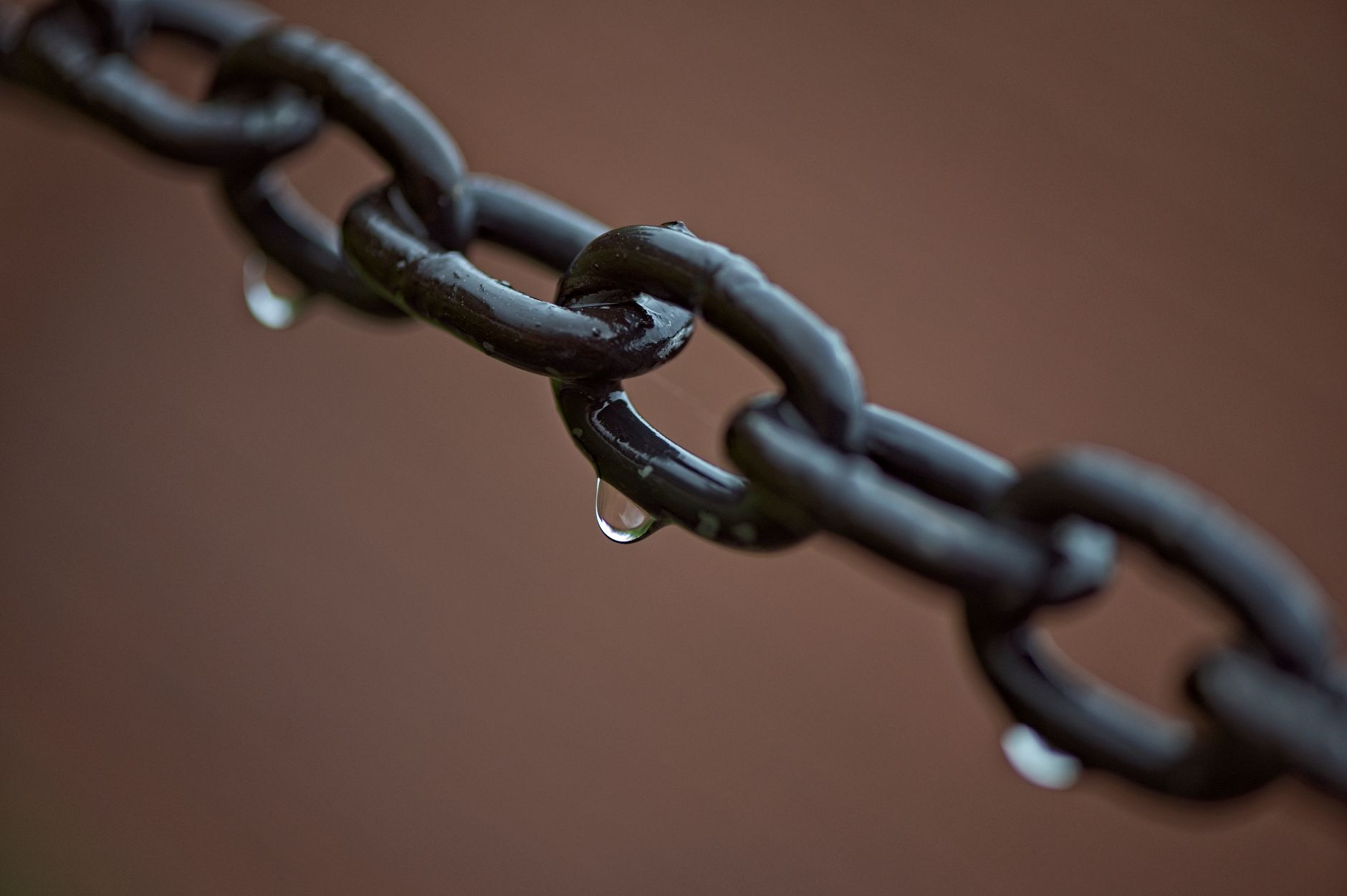 Over 535,000 Link Holders Signal Quiet Accumulation
