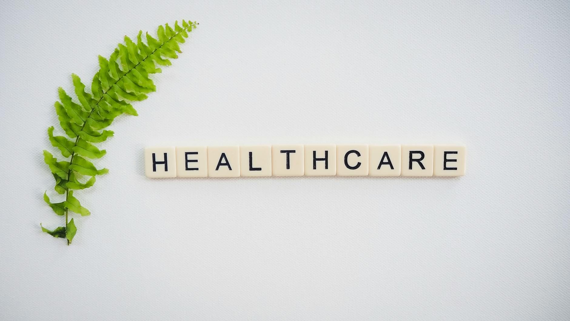 P3 Health (PIII) 2026 Earnings: Health Sector Signals
