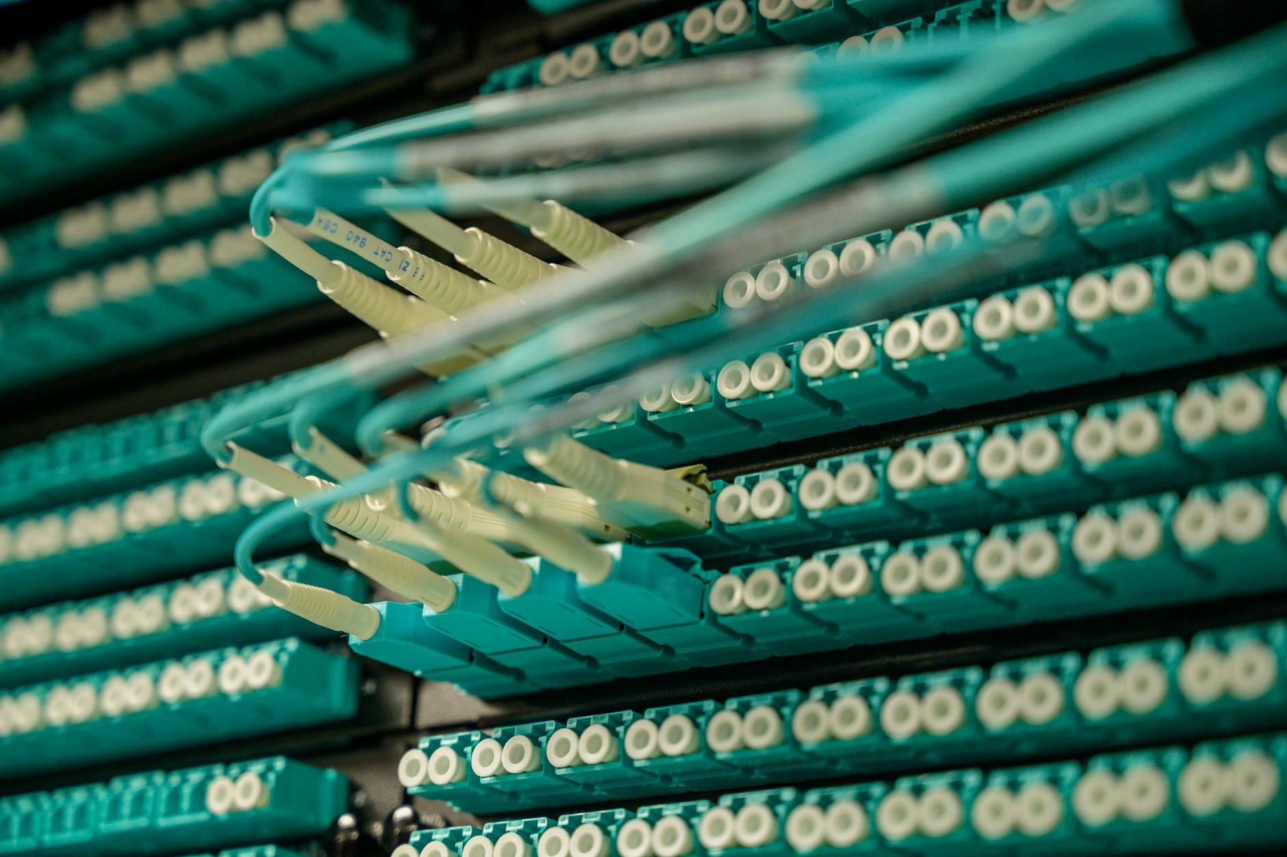 Palo Alto Networks Zscaler: Revenue Trends for Investors