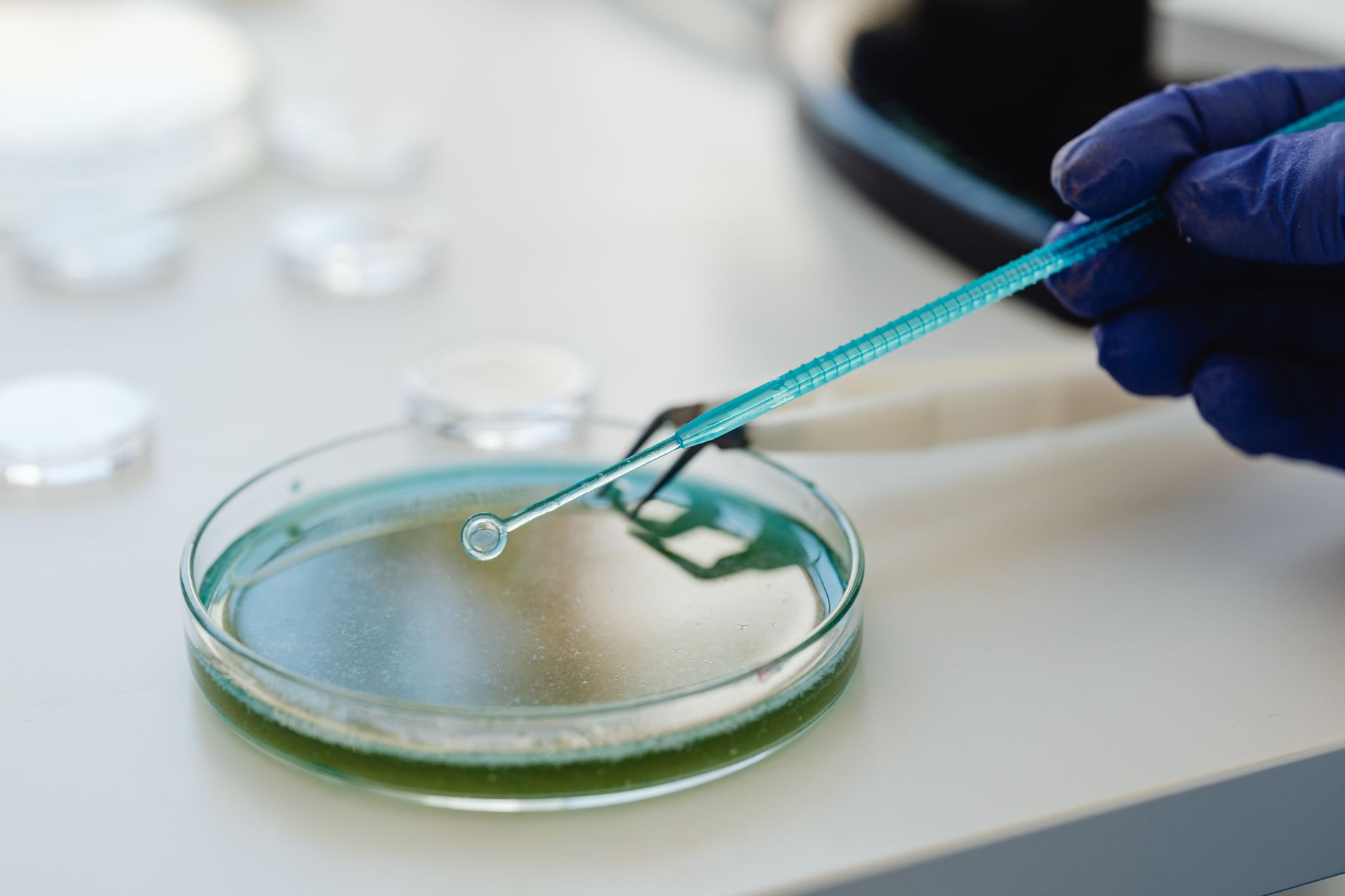 Parabilis Soared Biggest Biotech: Is It Too Late to Buy?
