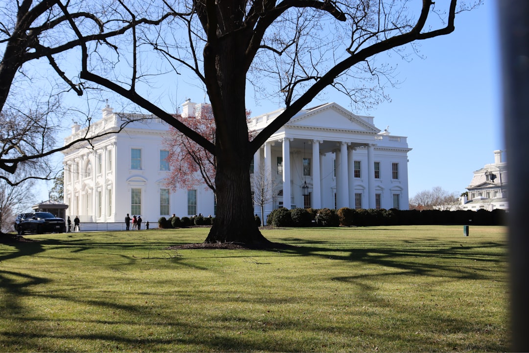 Pokémon Calls White House: IP, Politics, and Your Wallet