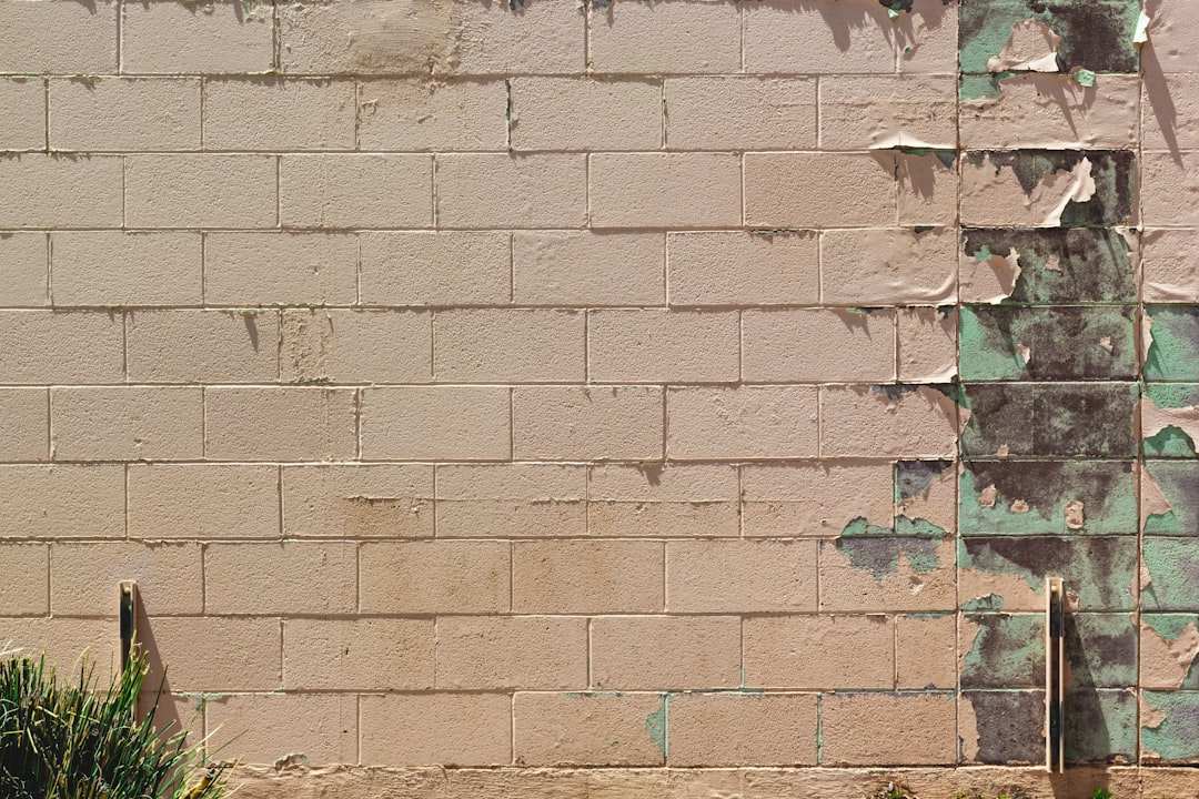 Pollo Loco (Loco) 2025 Earnings Outlook for Investors