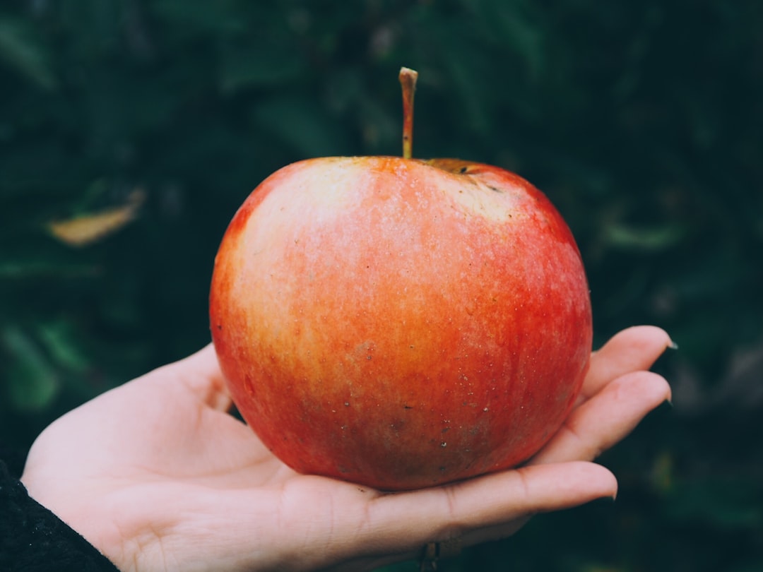 Prediction: Apple Stock Will Crush the S&P 500 in Year One