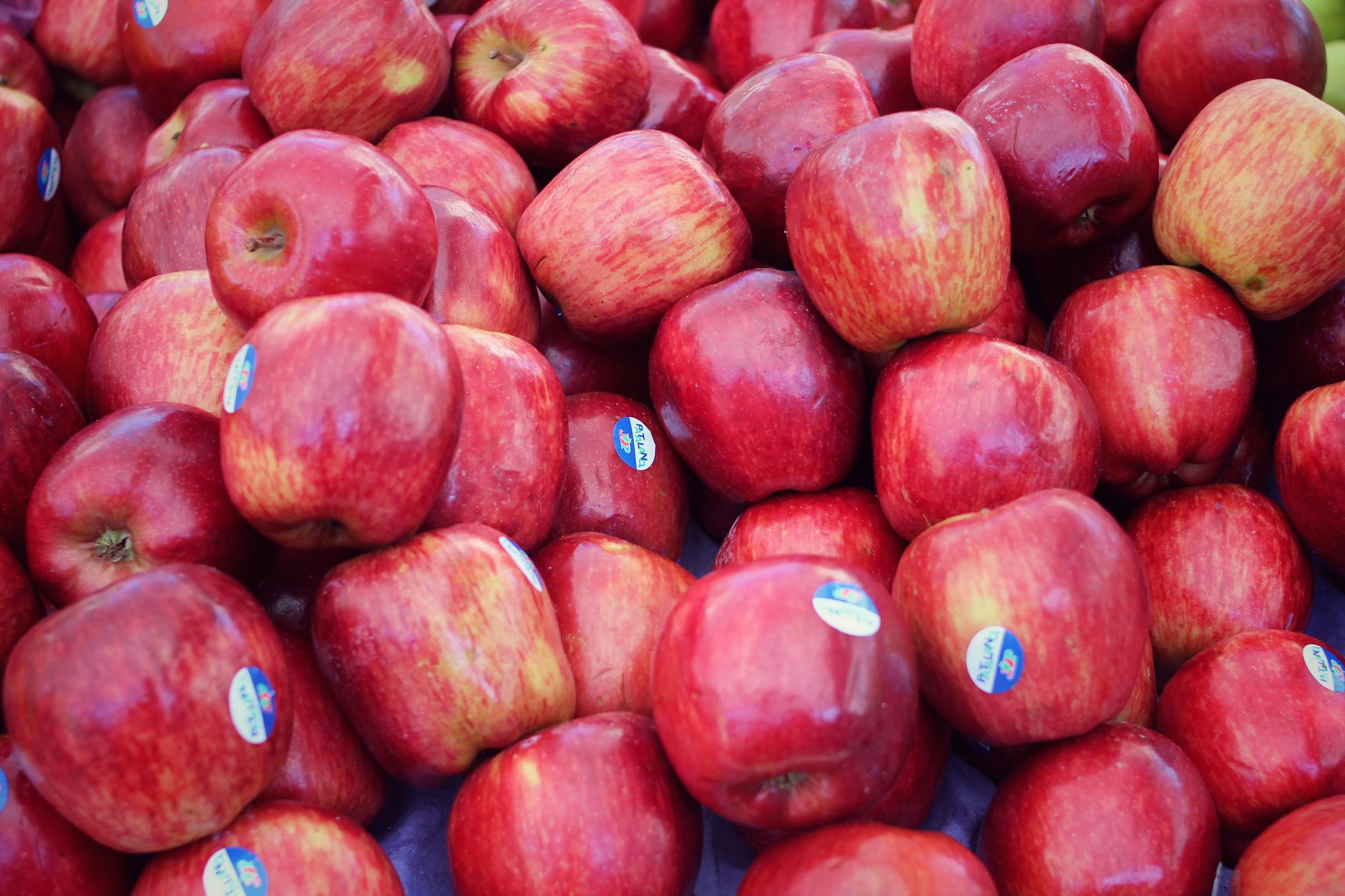 Prediction: Apple Will Worth $5 Trillion by 2026