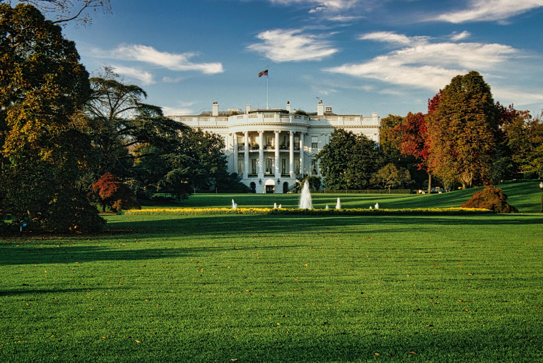 President Donald Trump'S Pick to Lead the Fed: Market Impacts and Implications