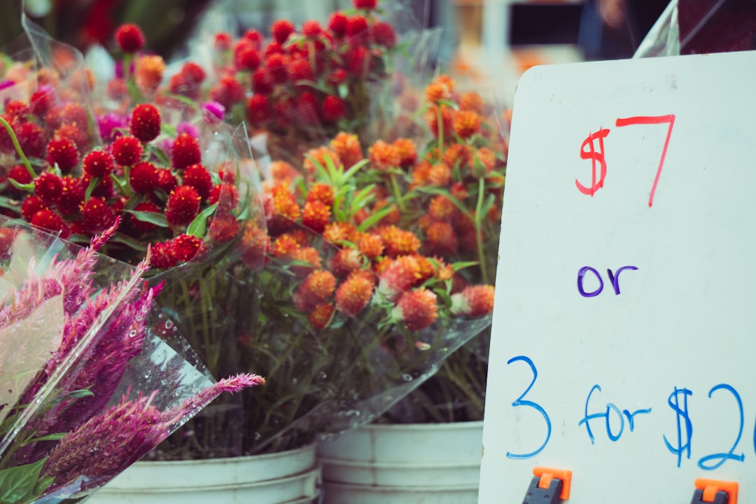 Prices Near $100 Tempting: A Smart Investor's Guide