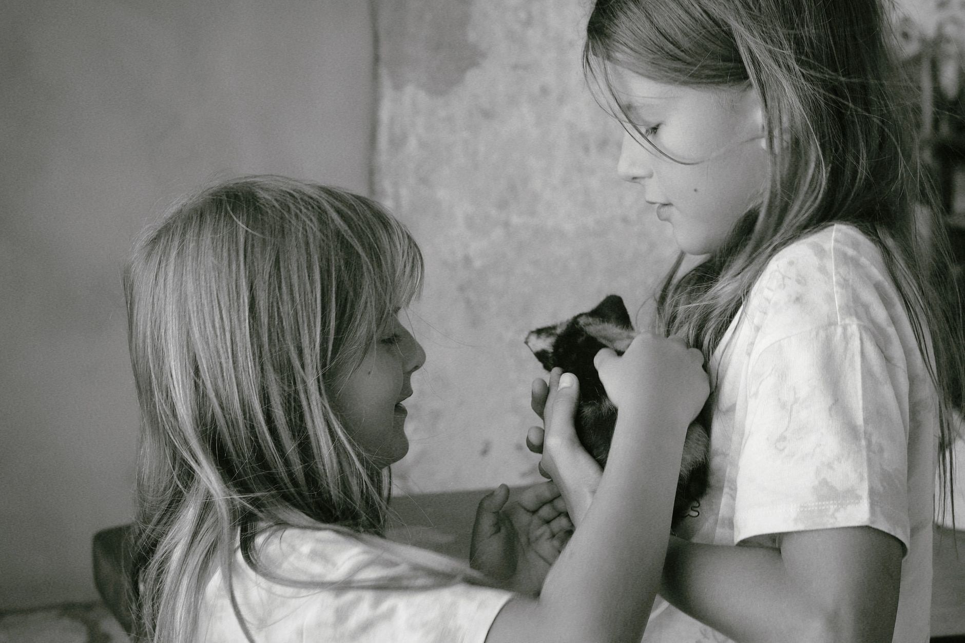 Princess Leonor Infanta Sofía and the Public Life Finances