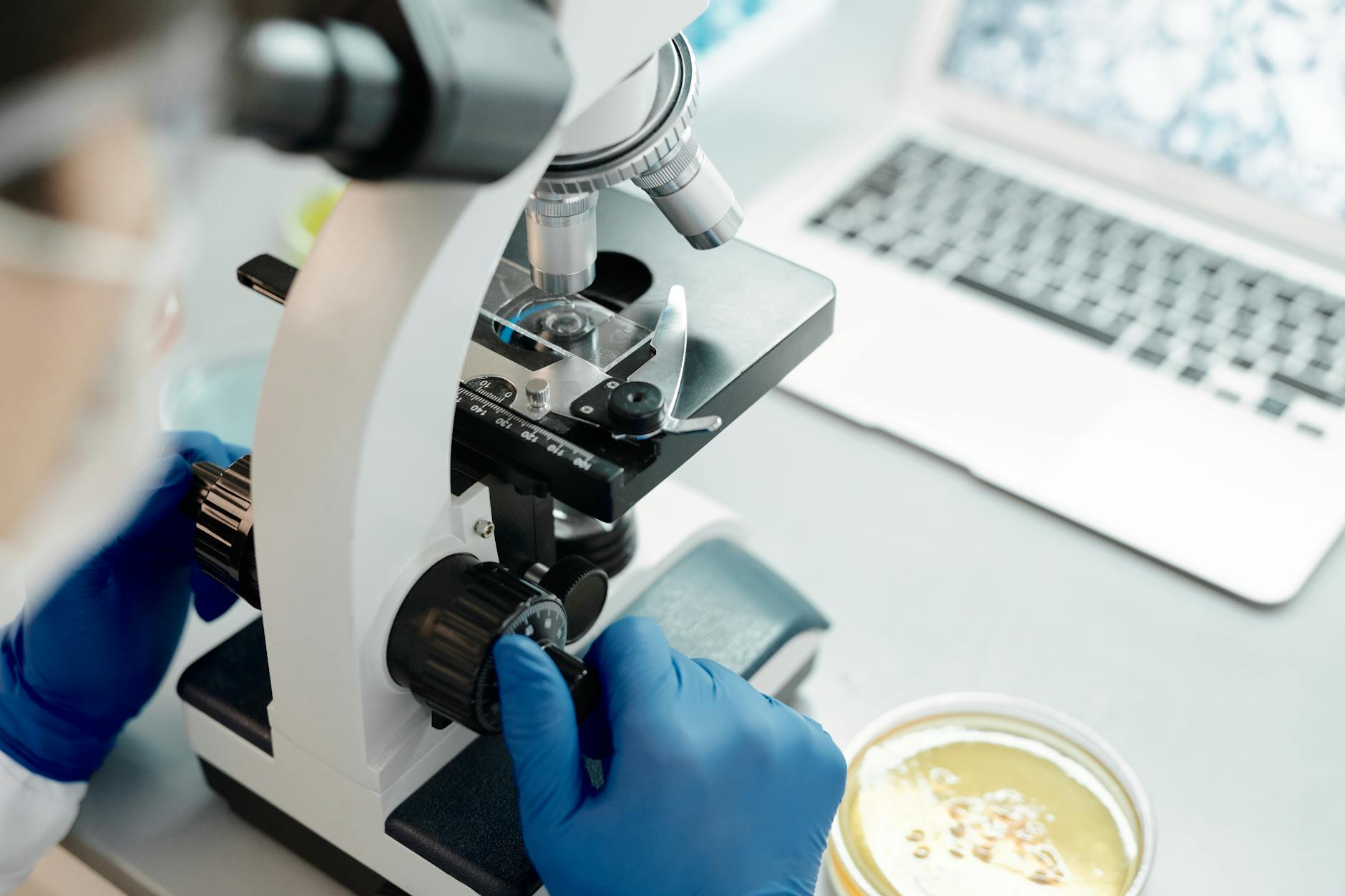 Rapid Micro (RPID) 2026 Earnings Outlook and Analysis