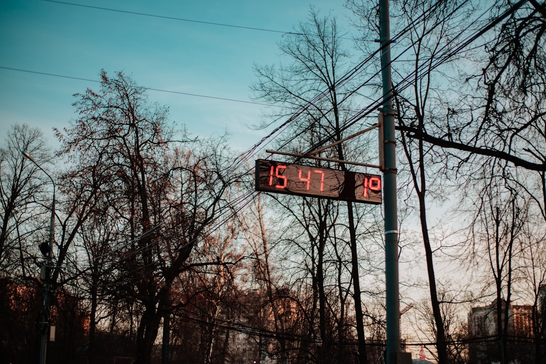 Reasons Celsius Stock Right Now: Five Key Angles Today