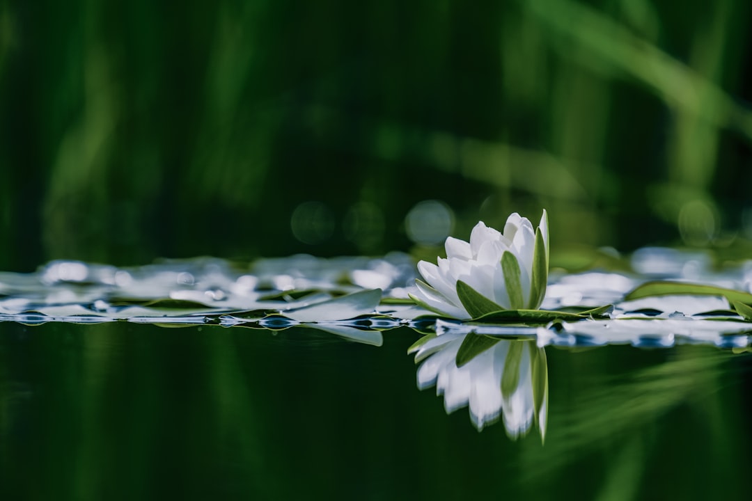 Reasons Lilly Remains a Buy: 3 Strong Drivers for Investors