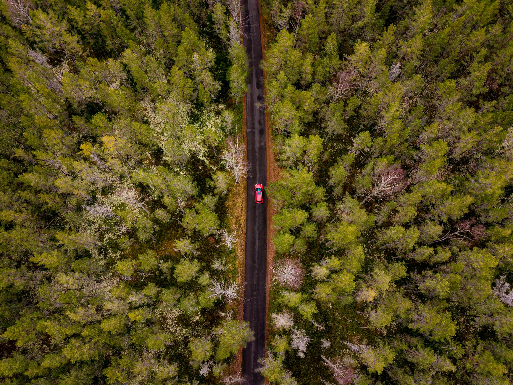 Reasons Rivian Stock Before Earnings: What to Watch