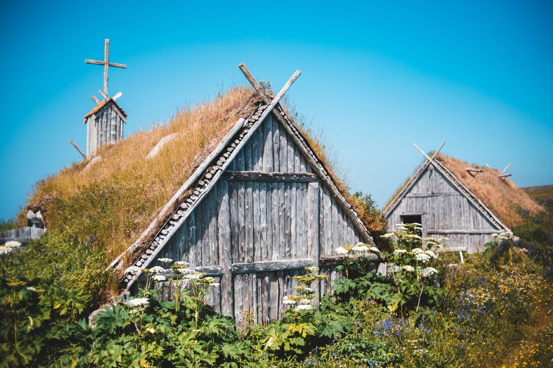 Reasons Viking Different Kind: Why VIK Stock Stands Out