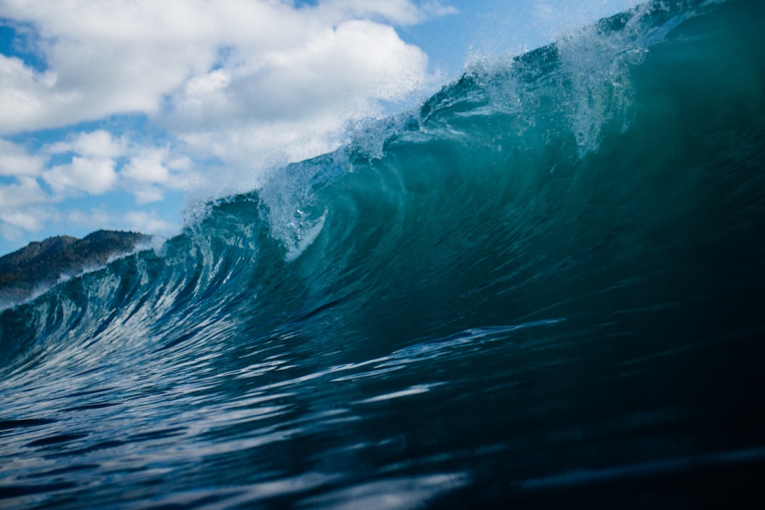 Ripple Swell 2026: What XRP Holders Should Expect Now