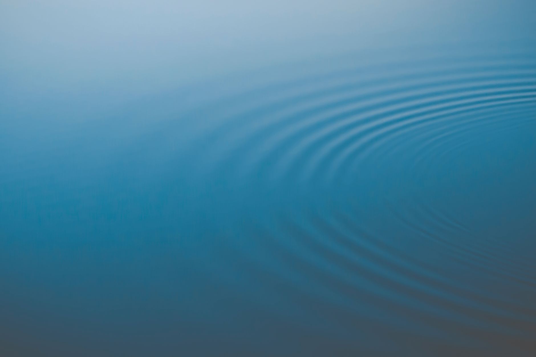 Ripple (XRP) Funds Continue Defying Crypto Downturn