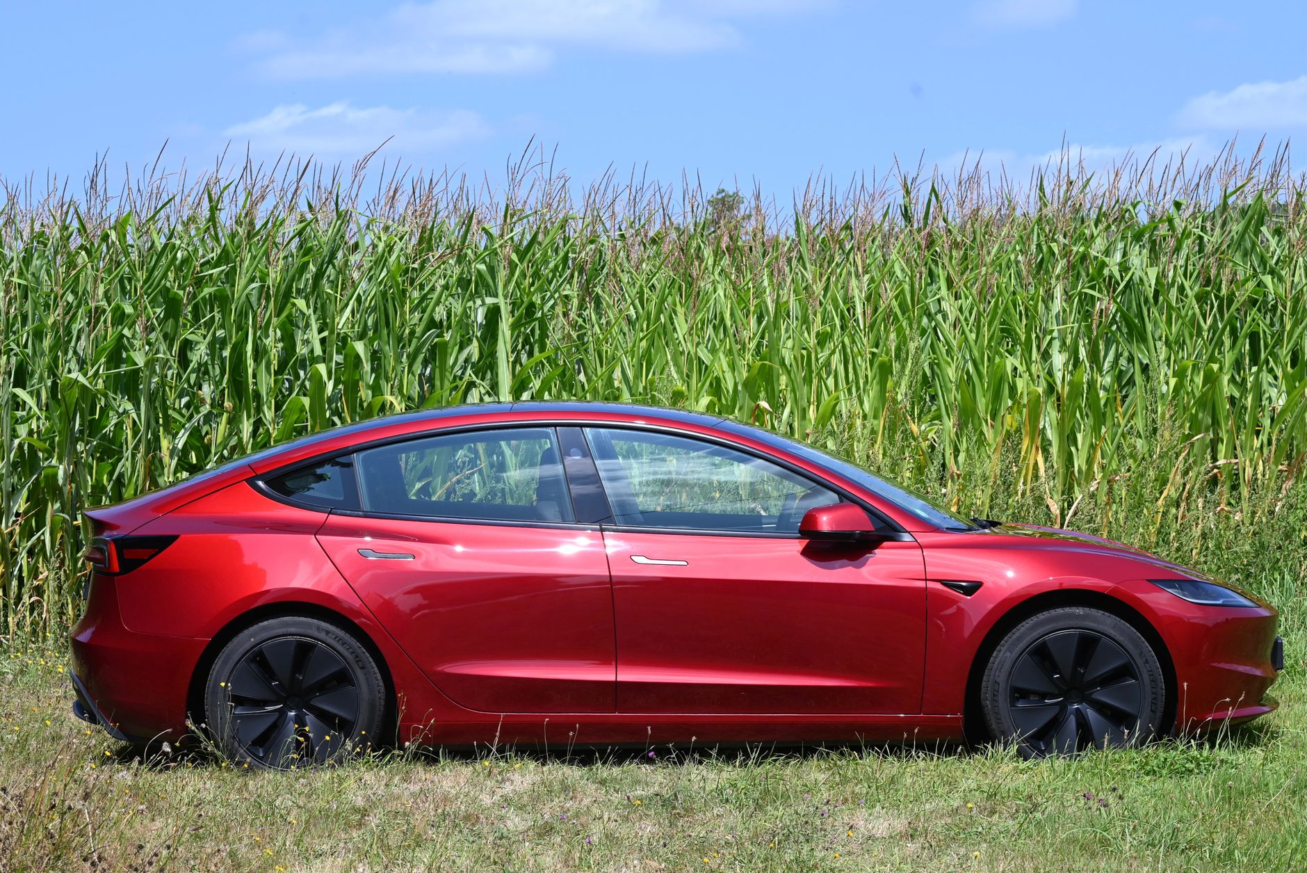 Rivian Tesla: Which Stock Is the Best Buy Right Now?