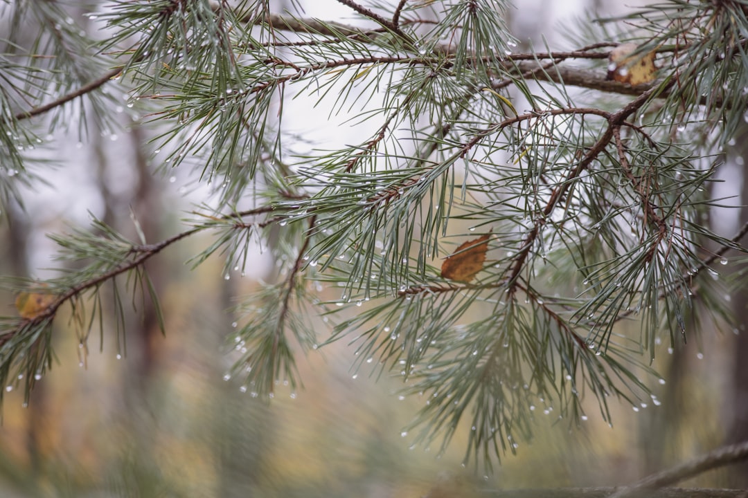Robinhood Stock Plunged February: What Investors Should Know