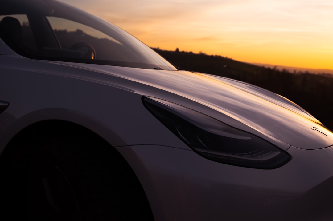 Robotics Winners: A Fund That Outsmarts Tesla Bets