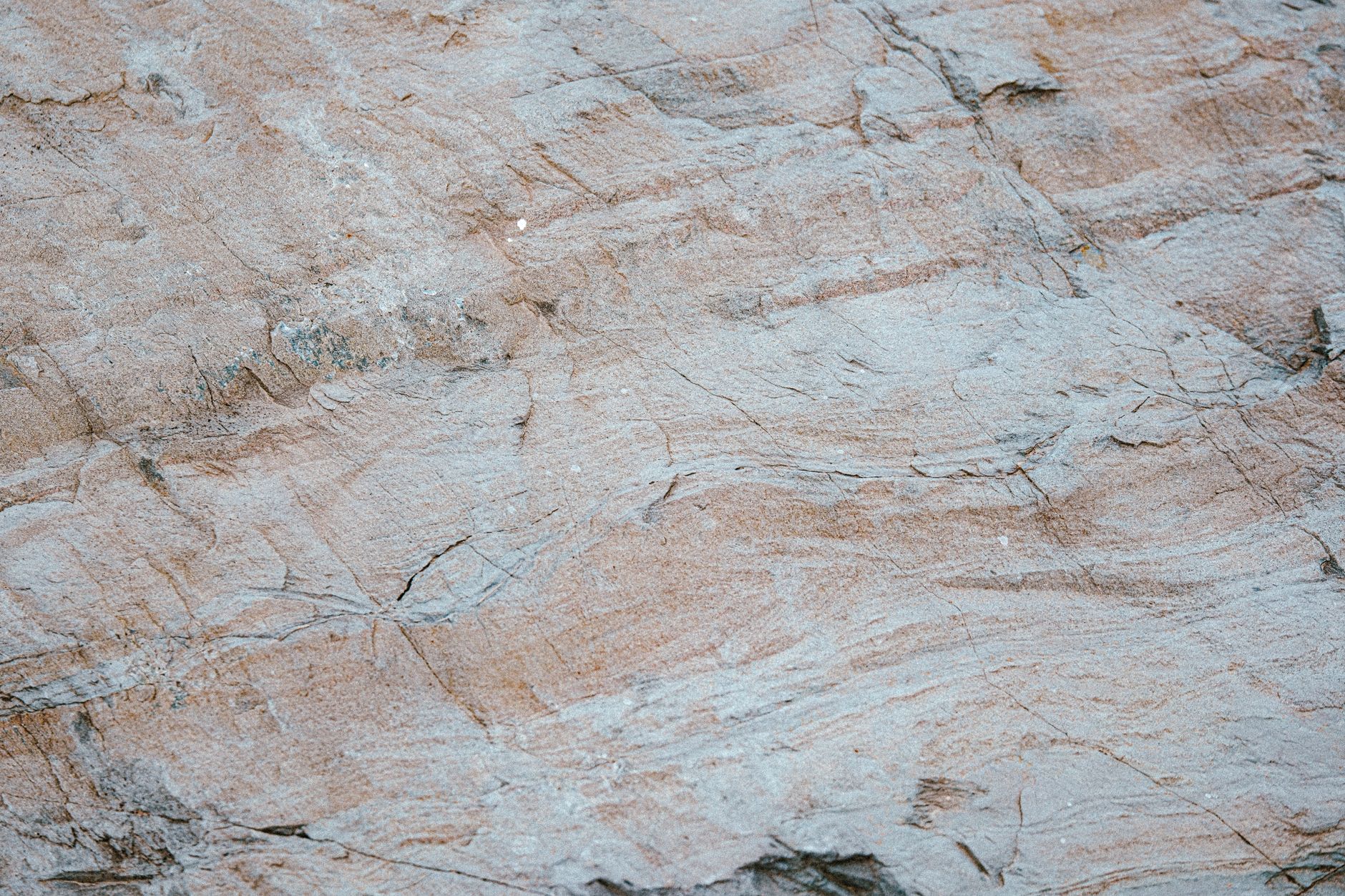 Rock-Solid Dividend Stocks Hold for Decades: A Long Guide