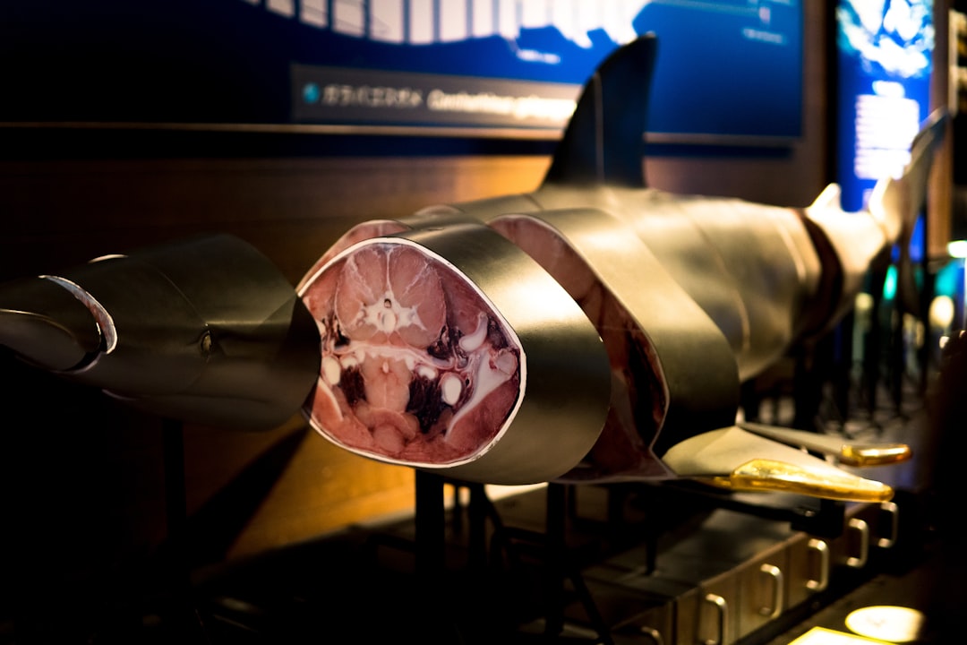 Rocket Just Made Billion Bet: Is the Stock a Buy?