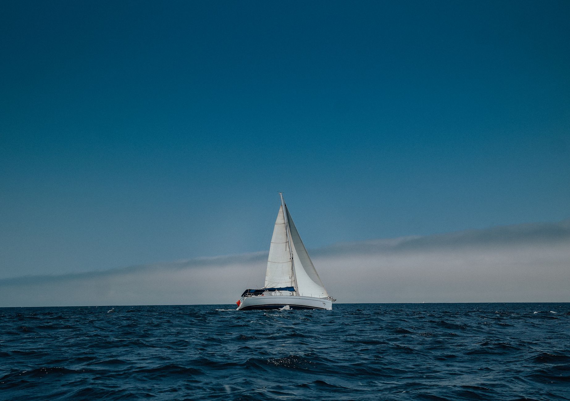 Sailpoint Stock Sinking This: What Investors Should Do