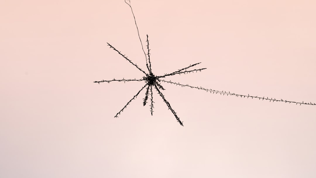Scattered Spider Suspect Extradited: Crypto Ransom Case