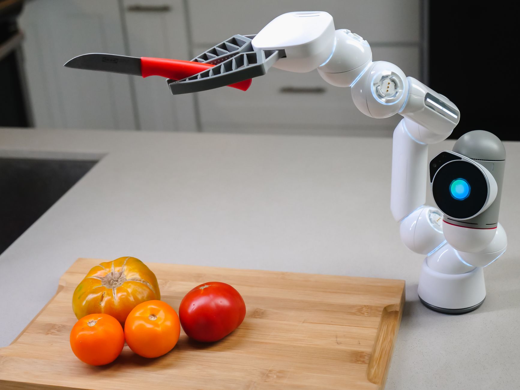 Serve Robotics: Risky Future—A Look at Risks and Rewards