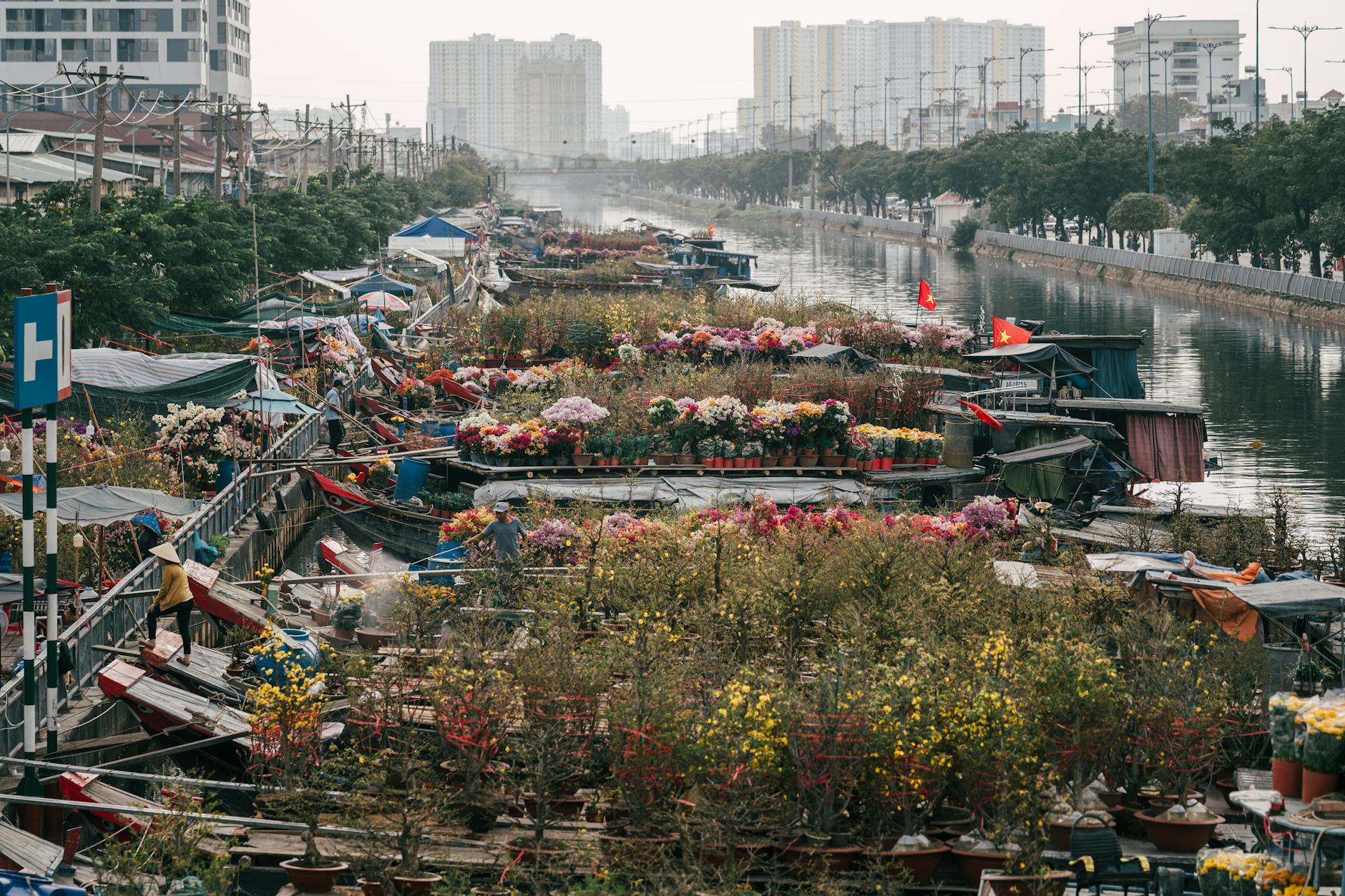 Shannon River Trims IDCC: A Closer Look at the Trade