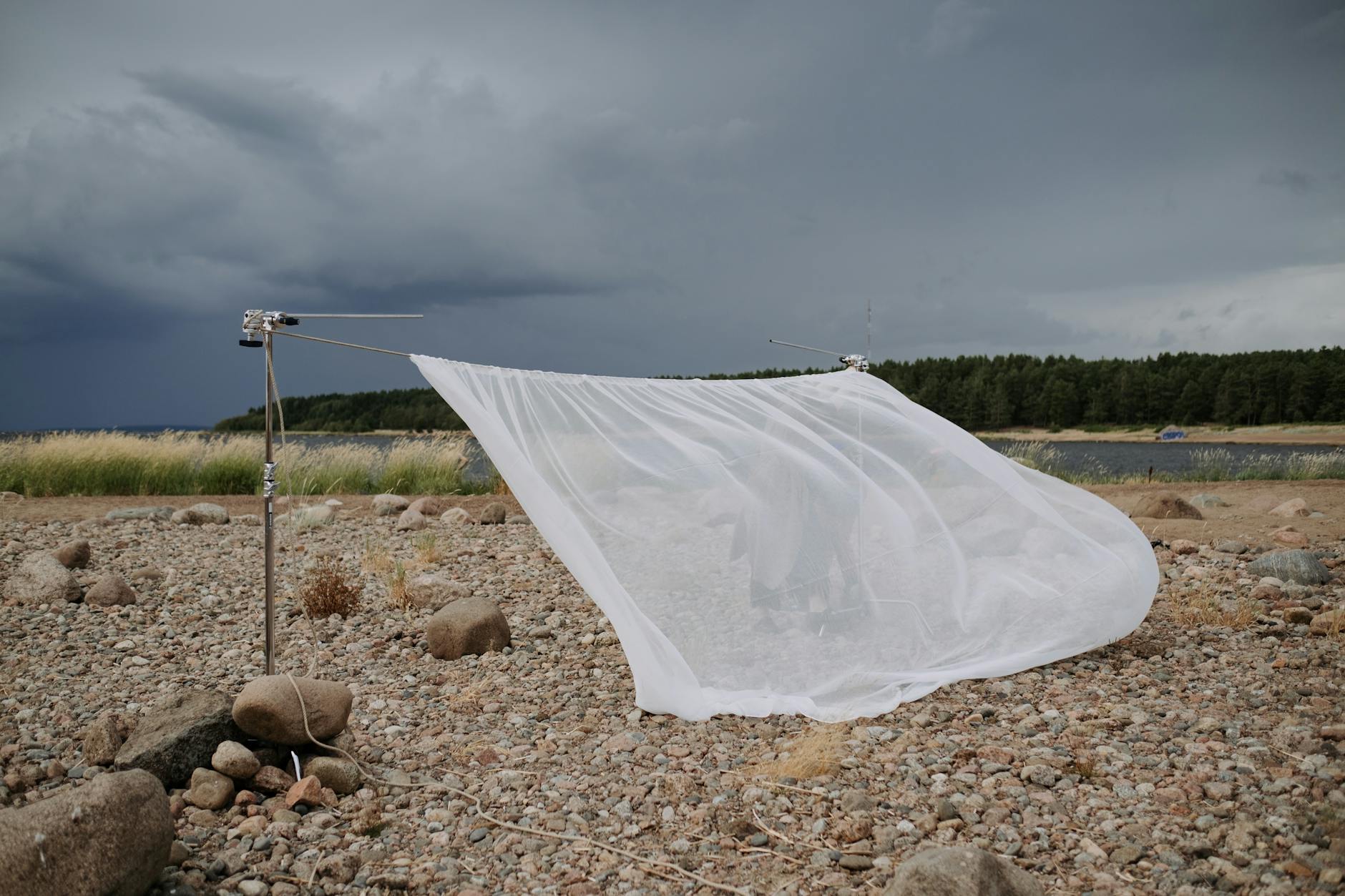 Should Bitfarms Before March: A Strategic Investor Guide