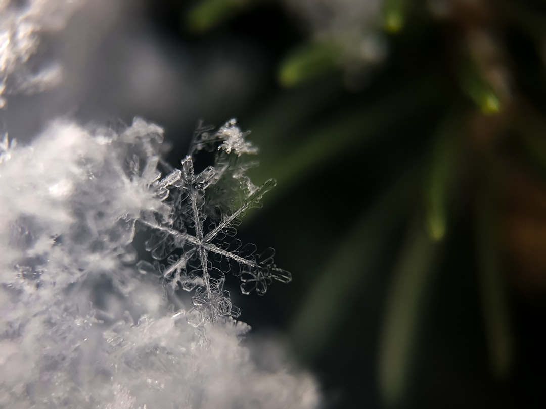 Should Snowflake Stock After a Surge Be on Your Radar