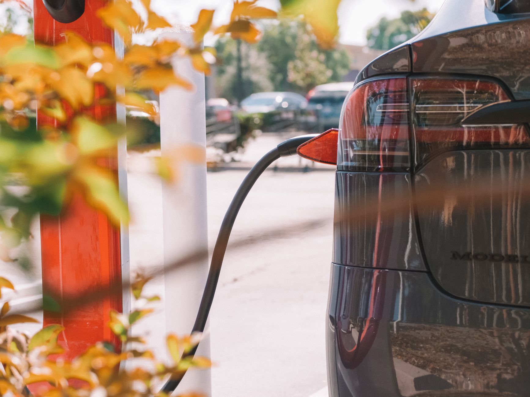 Should Tesla Stock Before July 22? A Practical Guide
