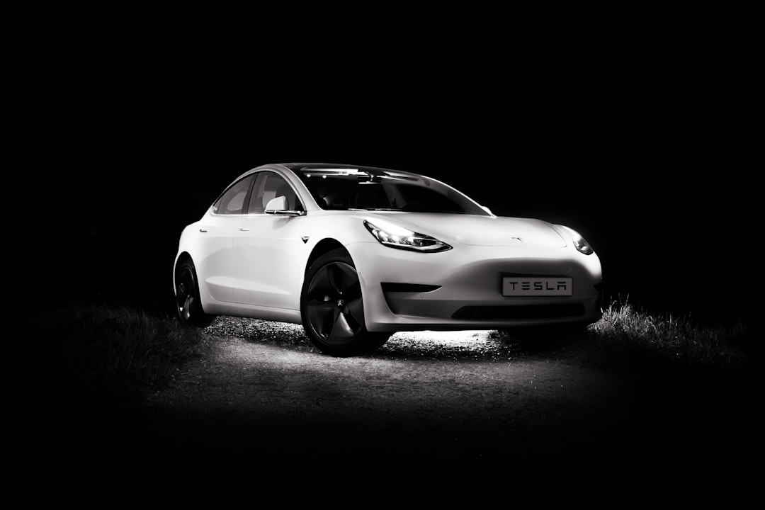 Should Wait Tesla Stock: Signals for 2026 Investors