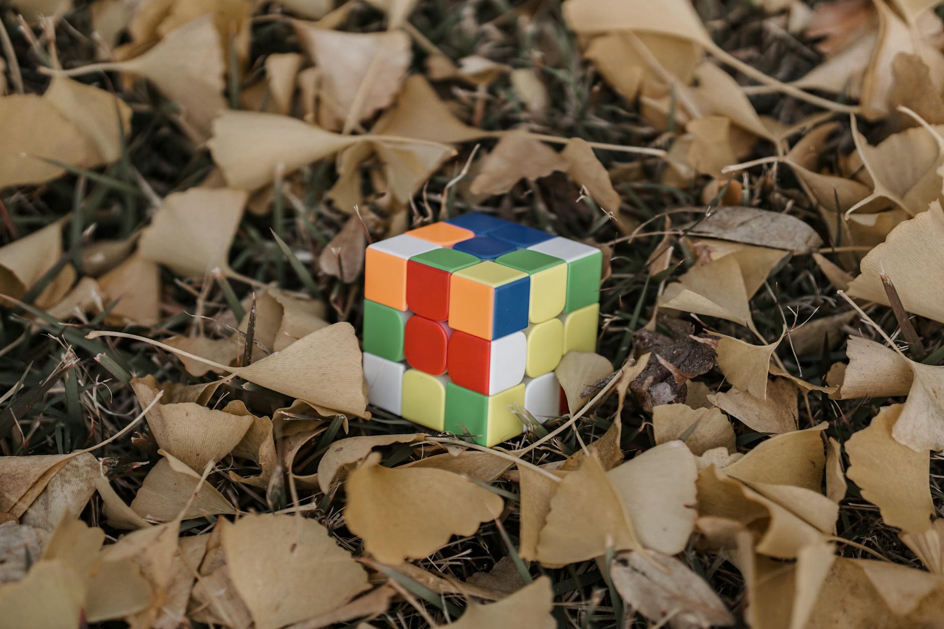 Snoop Dogg Cube Countersue: Lessons From a Failed Merch Deal