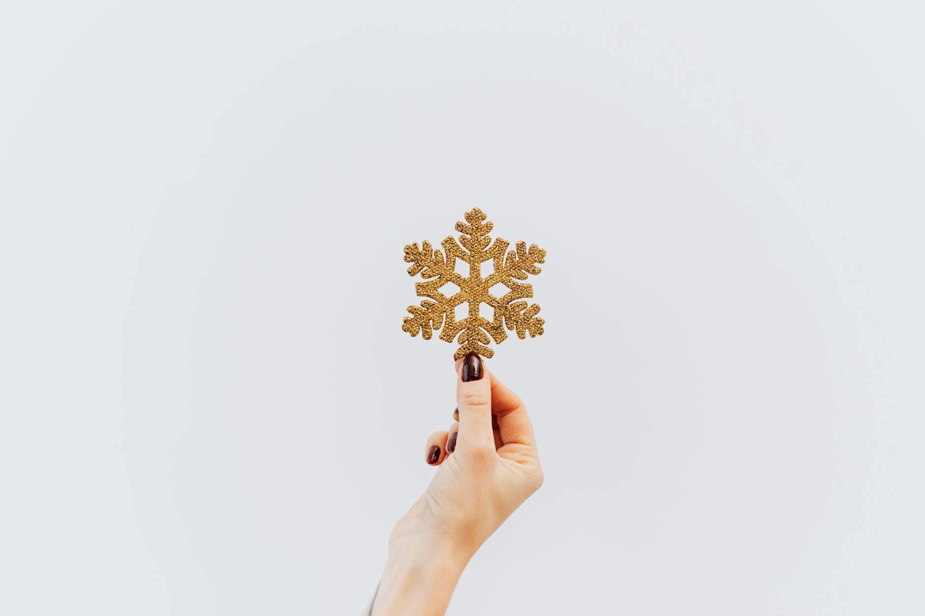 Snowflake Product Sparks Growth in Data Cloud Investing Today
