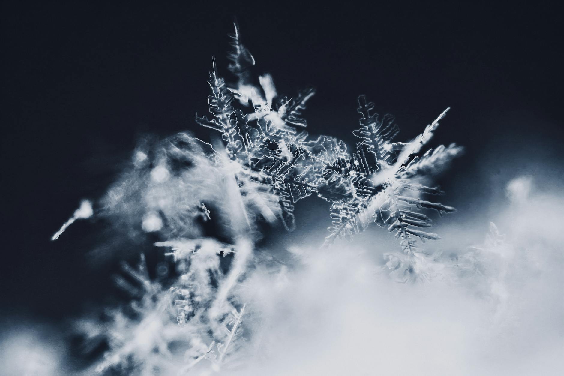 Snowflake Stock Down Hard: What Investors Should Do