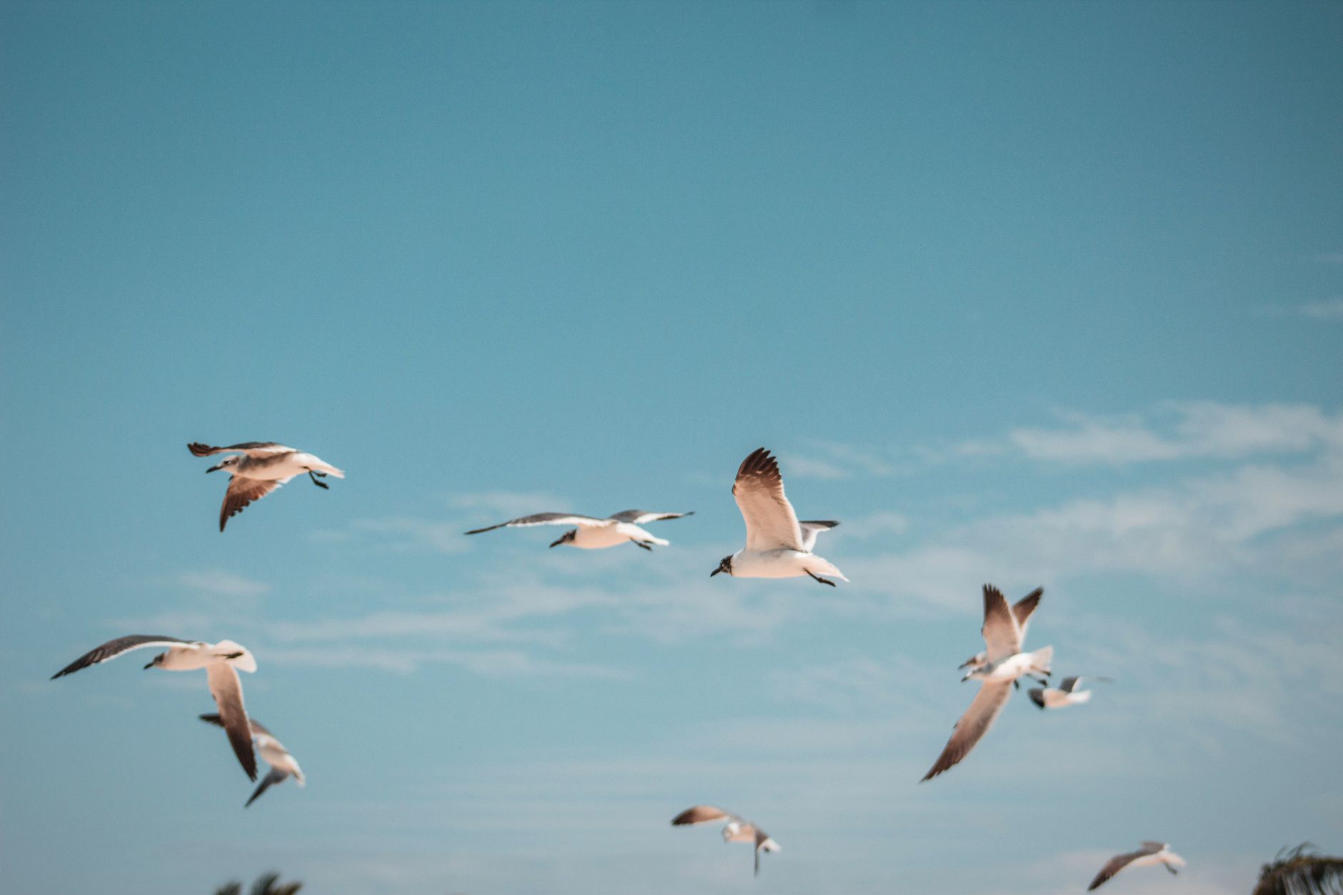 Soaring Stocks That Have More Upside Ahead: 3 Picks