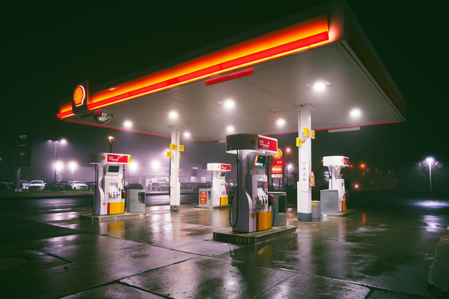 StealthGas (GASS) 2026 Earnings Outlook and Analysis