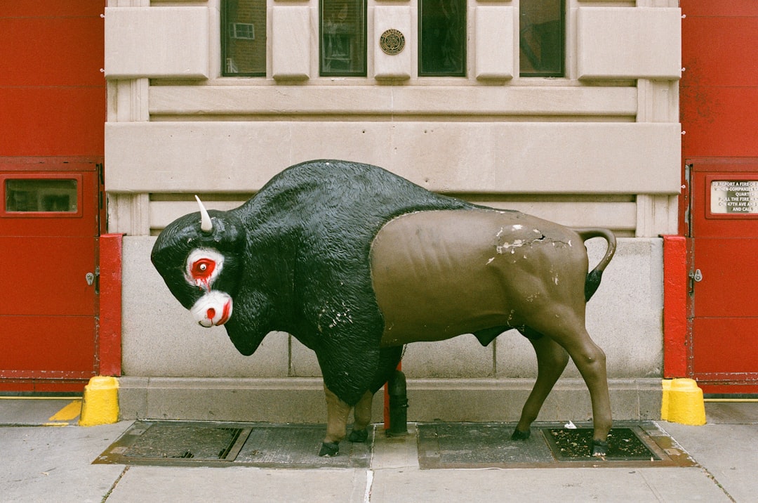 Stock Market Today, Feb. Kosmos Energy Rally Explained