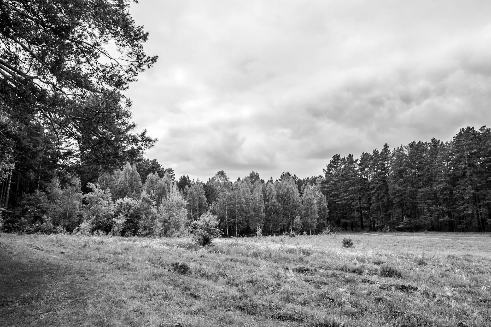 Sunrun Crashed Today: Why Investors Felt the Shake