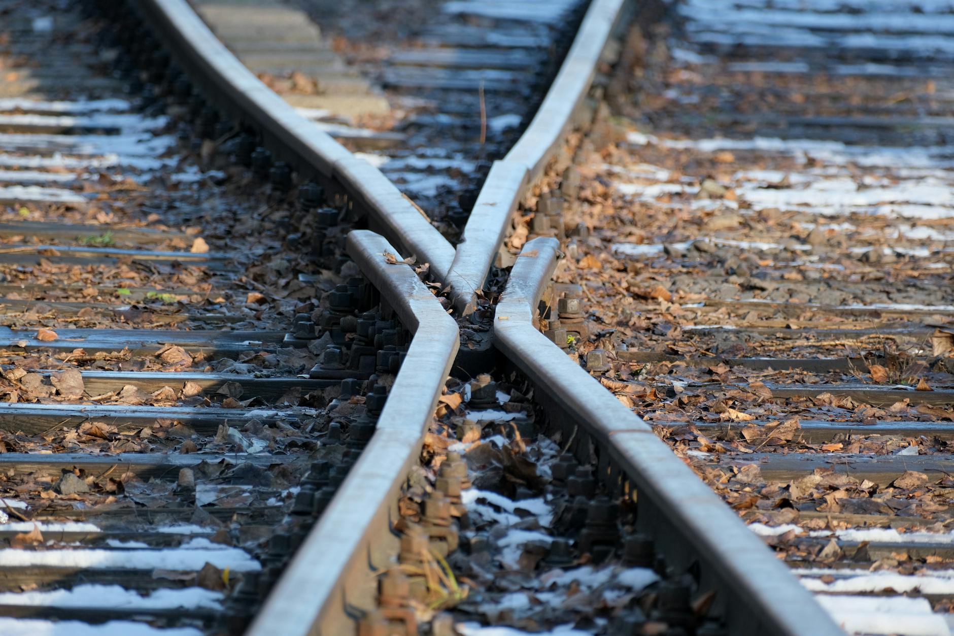 Tell You're Still Track: Are You on Track to Retire in 2028?