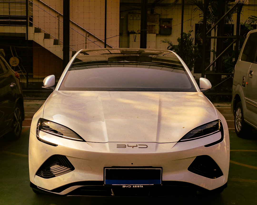 Tesla BYD: Which Stock Will Outperform the Market in 2026