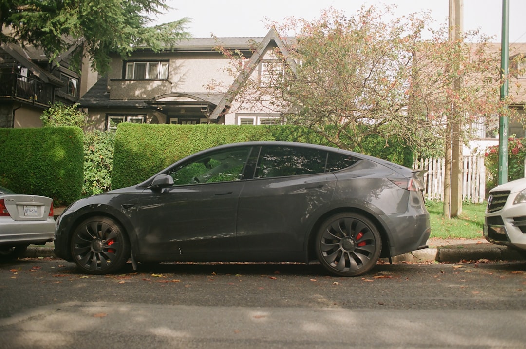 Tesla’s Rally Sets Balanced Path Ahead of Q2 Delivery