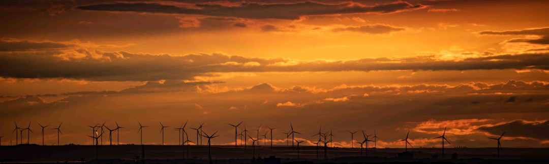 Tether Winds Down AUSDT as Alloy Platform Refocuses