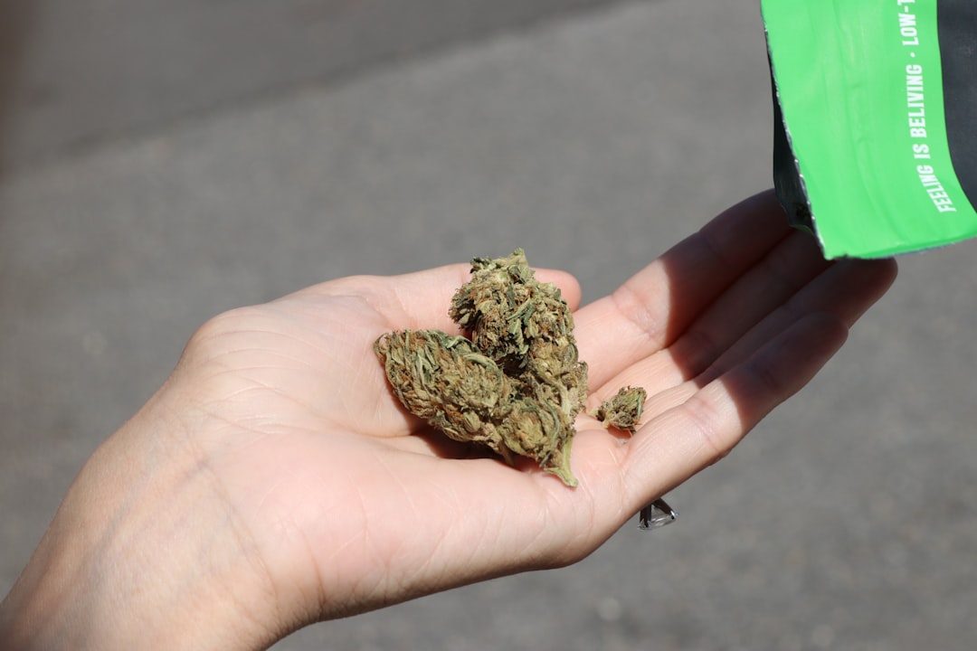 The Easiest Way to Bet on US Cannabis: This ETF