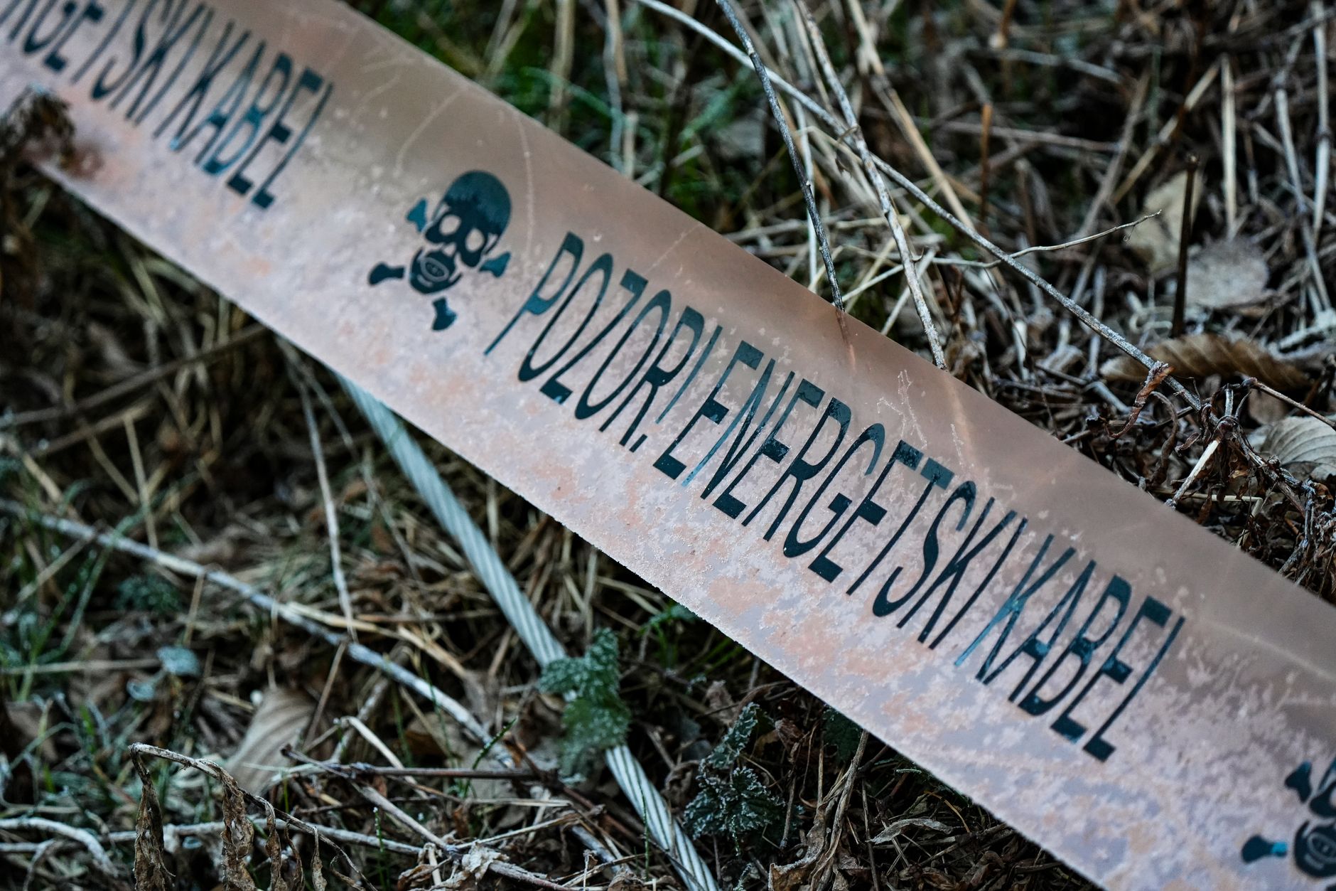 The Most Dangerous Dividend Investors: How to Spot and Avoid