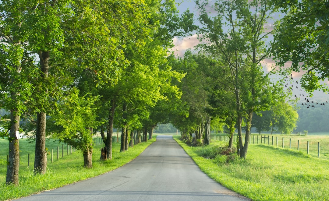They Dream Retiring Road: RV Living and Portfolio Size