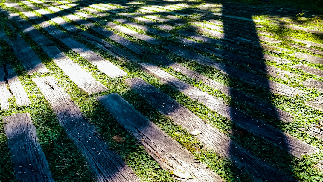 This Little-Known Aims Change Could Reframe Social Security