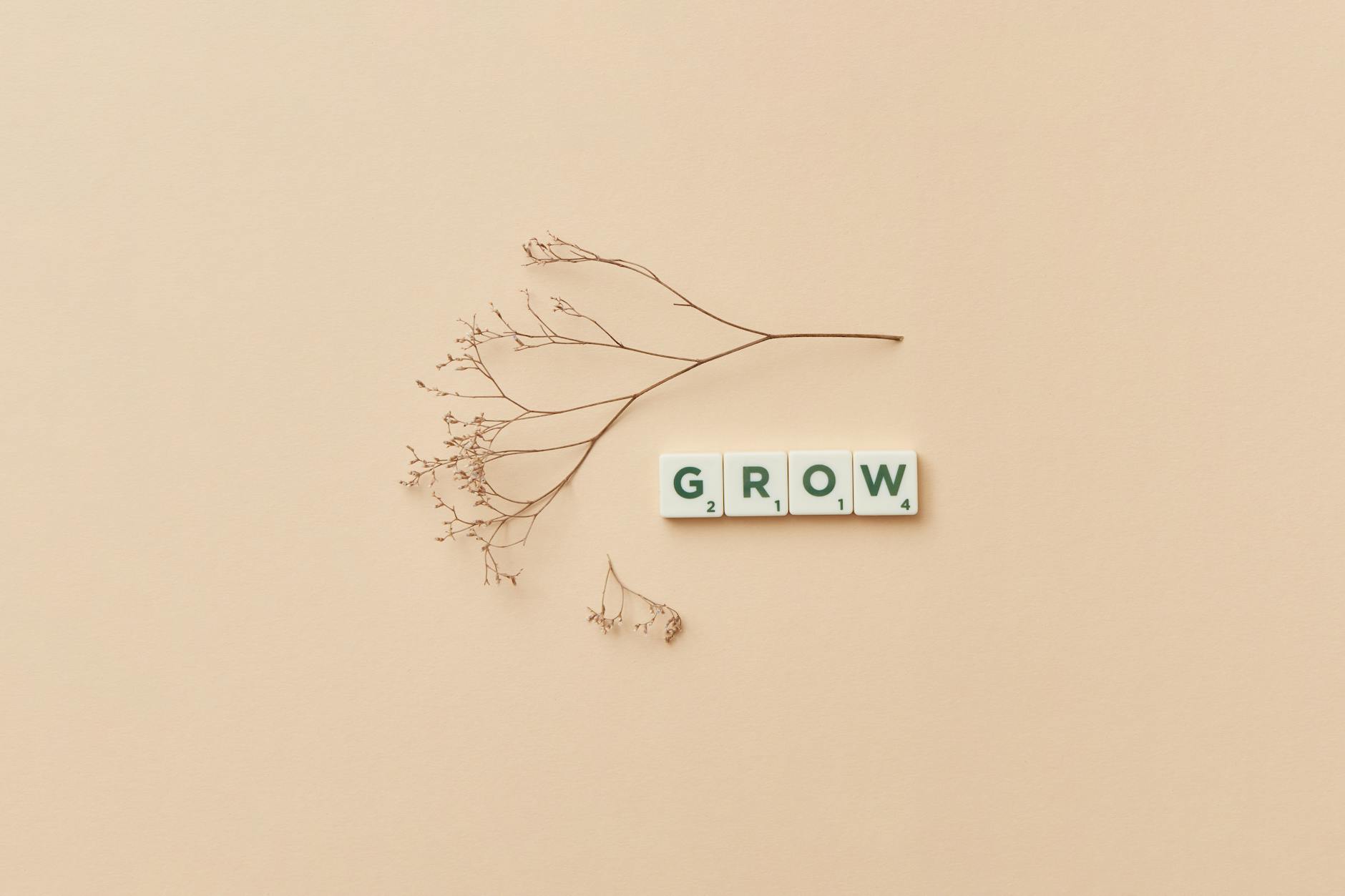 Three Growth ETFs Down This Month, One Looks Like a Buy